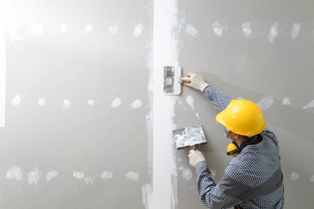 Reliable Susanville, CA Mold Removal Solutions