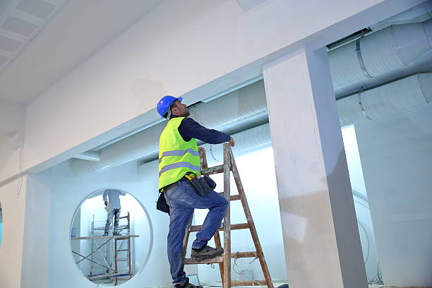Best Asbestos and Lead Testing During Mold Inspection  in Susanville, CA