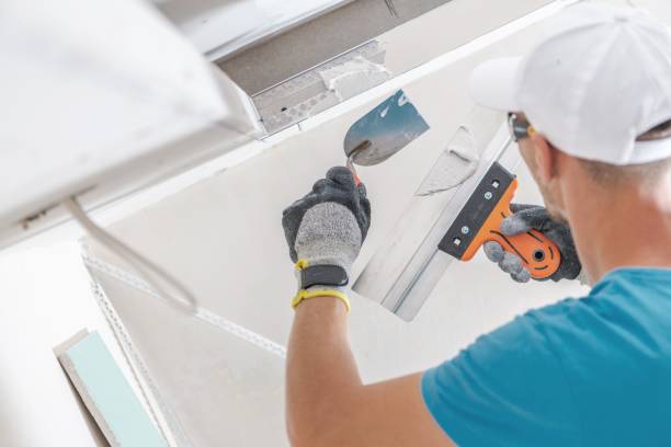 Best Mold Prevention Services  in Susanville, CA